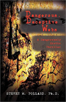 Dangerous, Deceptive Webs: A Dangerously Erotic Thriller