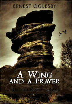 A Wing and a Prayer: The First Book of Gabriel - 9781450243766