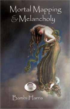 Mortal Mapping and Melancholy: Book Four of the Afterlife Series - 9781462054008