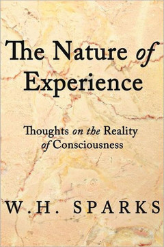 The Nature of Experience: Thoughts on the Reality of Consciousness - 9781462031665
