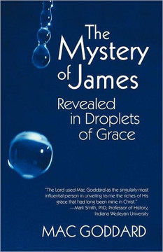 The Mystery of James Revealed in Droplets of Grace - 9781475925739