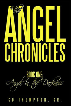 The Angel Chronicles: Book One: Angel in the Darkness - 9781452006543