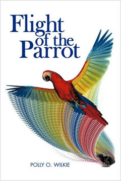 Flight of the Parrot Flight of the Parrot
