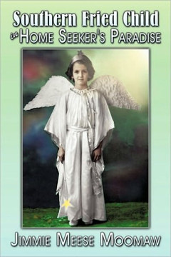 Southern Fried Child in Home Seeker's Paradise - 9781452064048