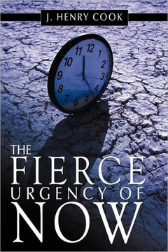 The Fierce Urgency of Now - 9781452098661