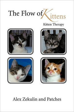 The Flow of Kittens: Kitten Therapy