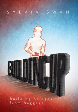 Building Up: Building Bridges from Baggage - 9781483654959