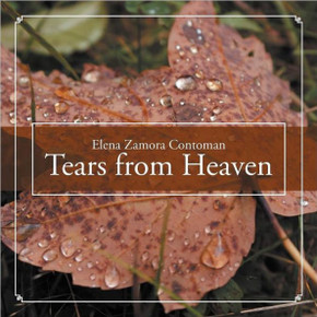 Tears from Heaven - 9781465354471