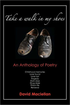 Take a Walk In My Shoes - 9781453534793
