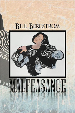 Malfeasance - 9781479720019