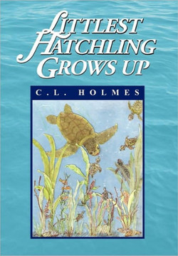 Littlest Hatchling Grows Up - 9781453564059