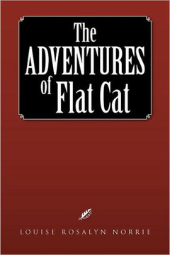 The Adventures of Flat Cat - 9781462893966