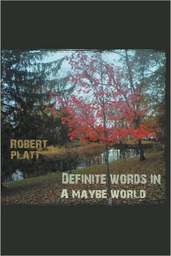 Definite Words in a Maybe World - 9781465311399