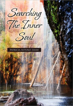 Searching the Inner Soul - 9781453580998