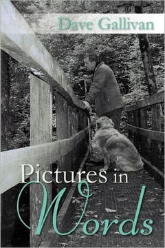Pictures in Words - 9781469177731