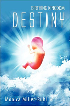 Birthing Kingdom Destiny - 9781462872367