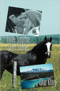 Three Surprise Short Stories - 9781469142081