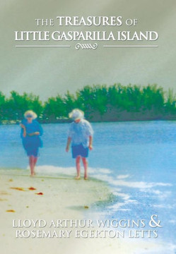 The Treasures of Little Gasparilla Island - 9781483608204