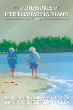 The Treasures of Little Gasparilla Island - 9781483608198