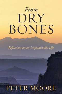 From Dry Bones: Reflections on an Unpredictable Life - 9781483660301