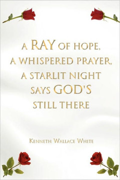 A Ray of Hope, a Whispered Prayer, a Starlit Night Says God's Still There - 9781456835873