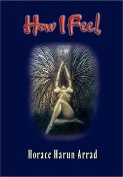 How I Feel: (Adult Poetry) - 9781477115954