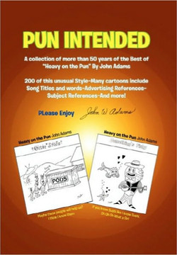 Pun Intended - 9781453581780