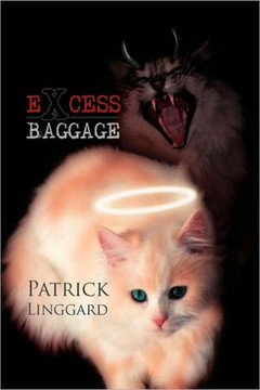 Excess Baggage - 9781450062336