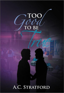 Too Good to Be True - 9781479705962