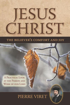 Jesus Christ the Believer's Comfort and Joy: A Practical Look at the Person and Work of our Lord