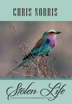 Stolen Life - 9781479738892