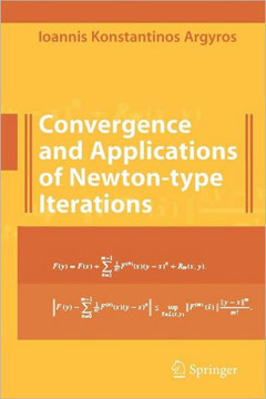 Convergence and Applications of Newton-Type Iterations