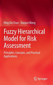 Fuzzy Hierarchical Model for Risk Assessment: Principles, Concepts, and Practical Applications