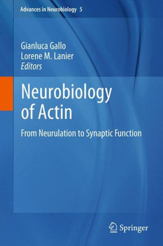 Neurobiology of Actin: From Neurulation to Synaptic Function - 9781461427254