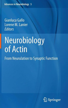 Neurobiology of Actin: From Neurulation to Synaptic Function - 9781441973672
