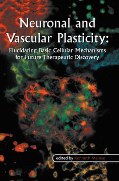 Neuronal and Vascular Plasticity: Elucidating Basic Cellular Mechanisms for Future Therapeutic Discovery