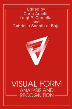 Visual Form: Analysis and Recognition