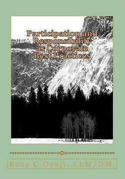 Participation and Responsibility as Corporate Best Practices - 9781475082203