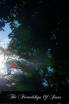 The Friendships Of Jesus