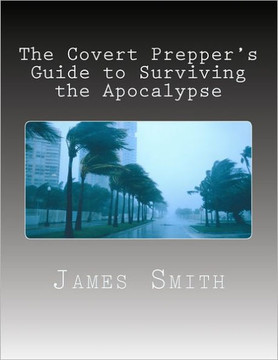 The Covert Prepper's Guide to Surviving the Apocalypse: And any other disasters!