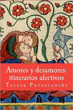 Amores y desamores: itinerarios afectivos: Ensayos antropol??icos.