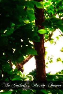 The Catholic's Ready Answer