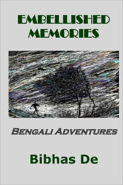 Embellished memories: Bengali adventures