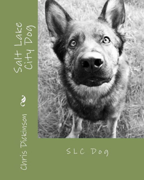 Salt Lake City Dog: SLC Dog