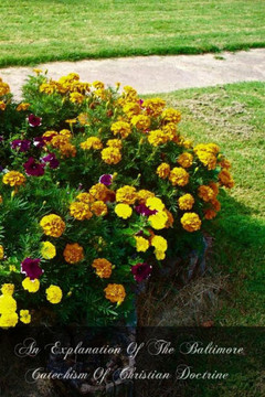 An Explanation Of The Baltimore Catechism Of Christian Doctrine: For The Use Of Sunday School Teachers And Advanced Classes