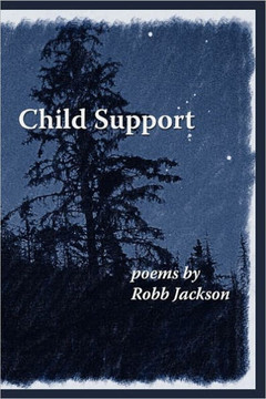 Child Support - 9781453732090