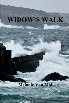 Widow's Walk - 9781478107118
