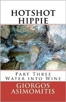 hotshot hippie: Part Three Water into Wine