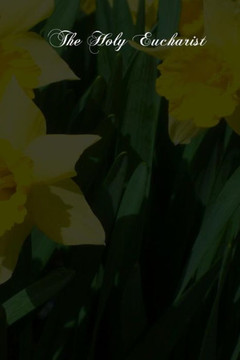 The Holy Eucharist - 9781480014886
