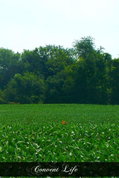 Convent Life: The Meaning Of A Religious Vocation